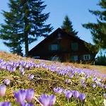 Appartement Moritz Oberstaufen