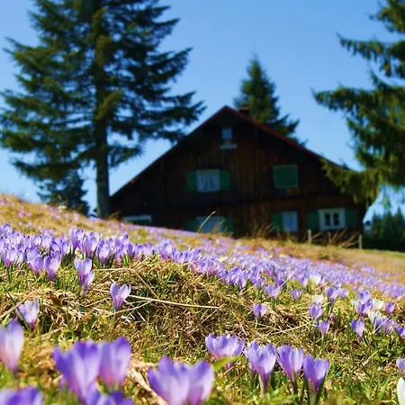 Apartament Moritz Oberstaufen